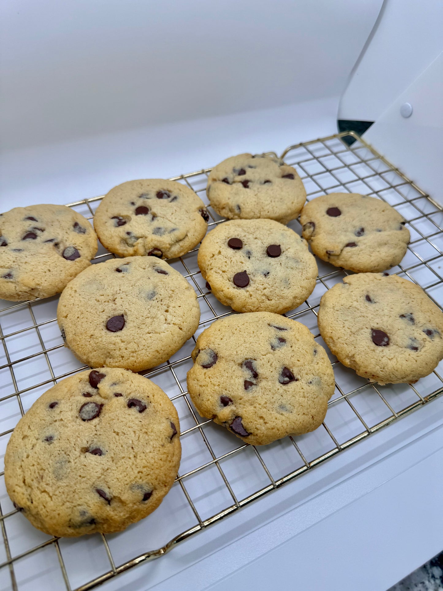 Gluten Free Chocolate Chip Cookie