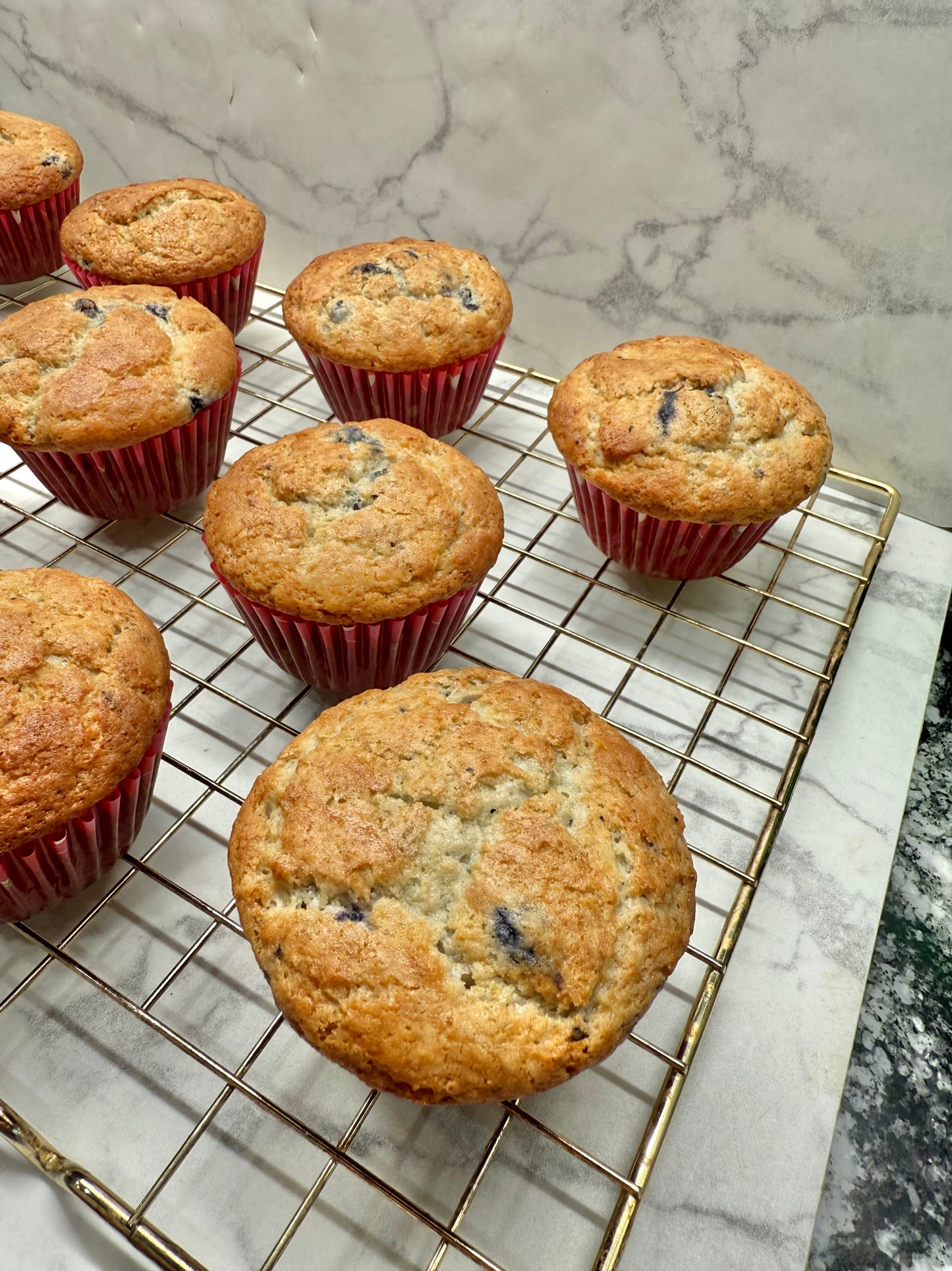GLUTEN FREE Blueberry Muffin