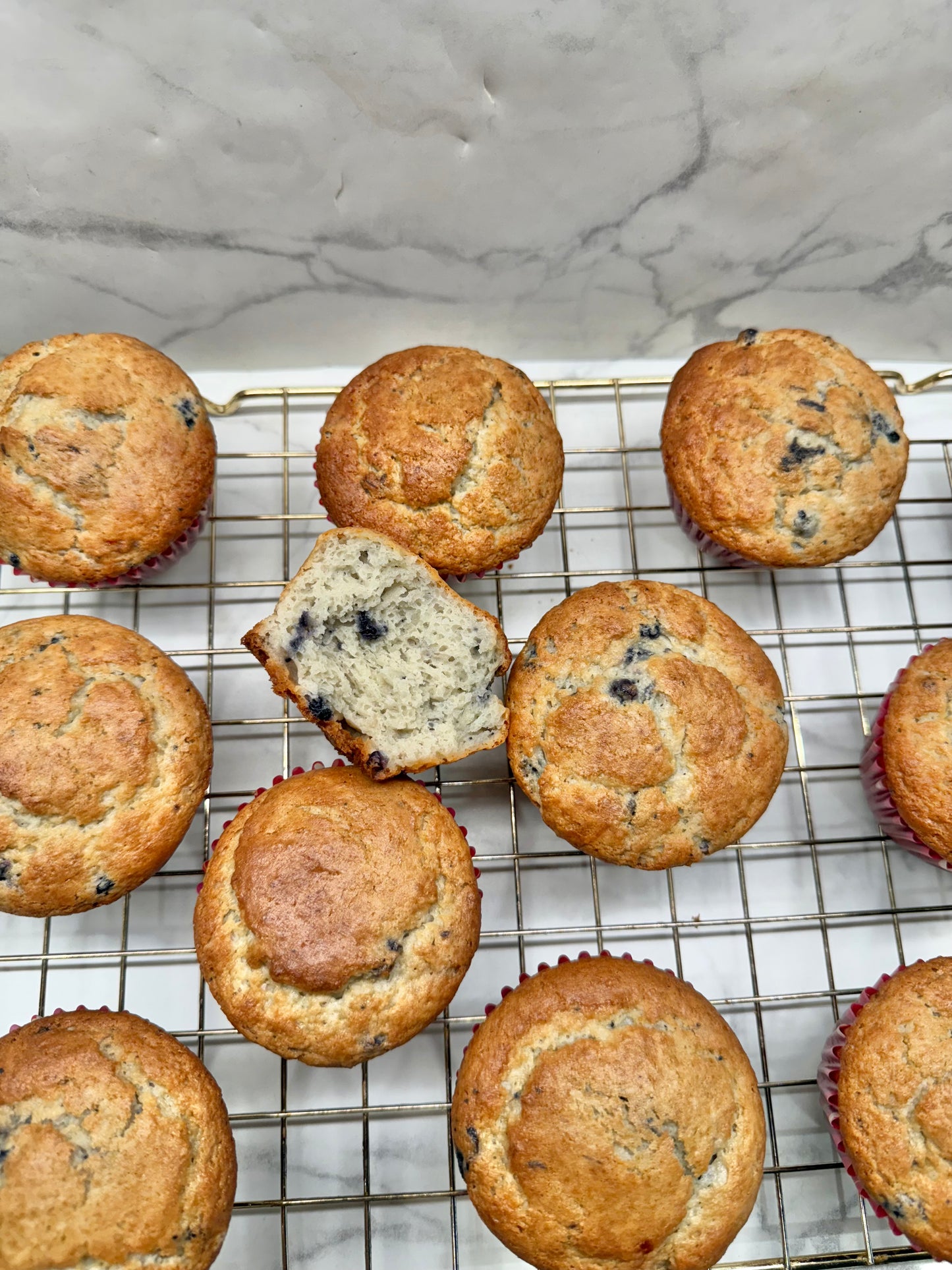 GLUTEN FREE Blueberry Muffin