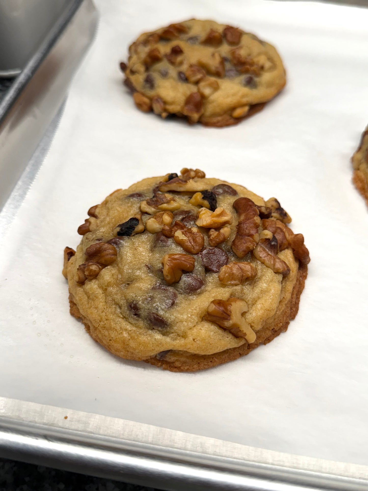 4oz Walnut Chocolate Chip Cookie