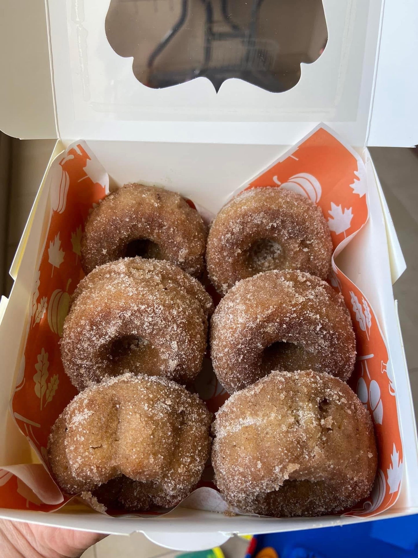 6 pack Apple Cider Donuts