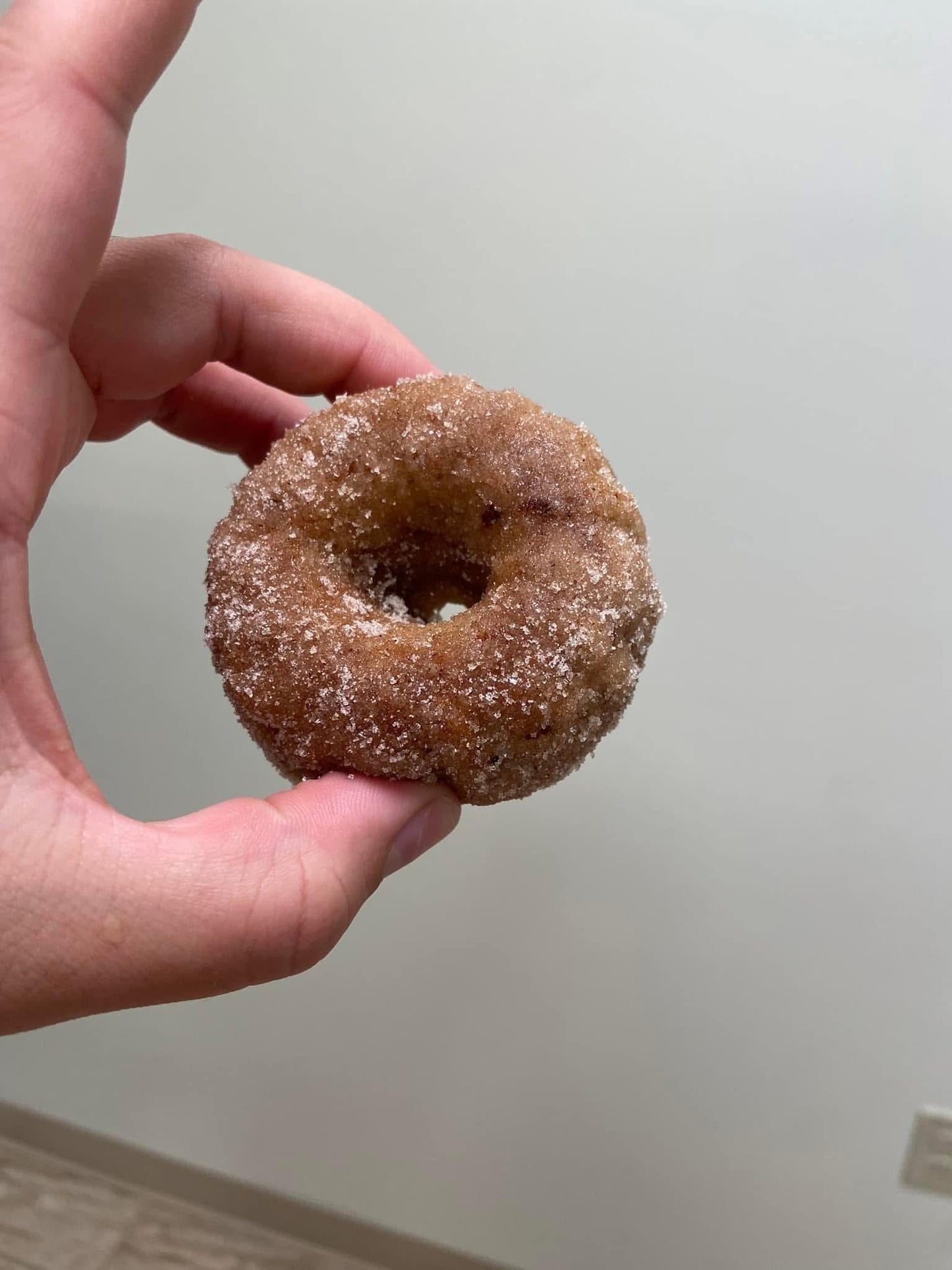 6 pack Apple Cider Donuts