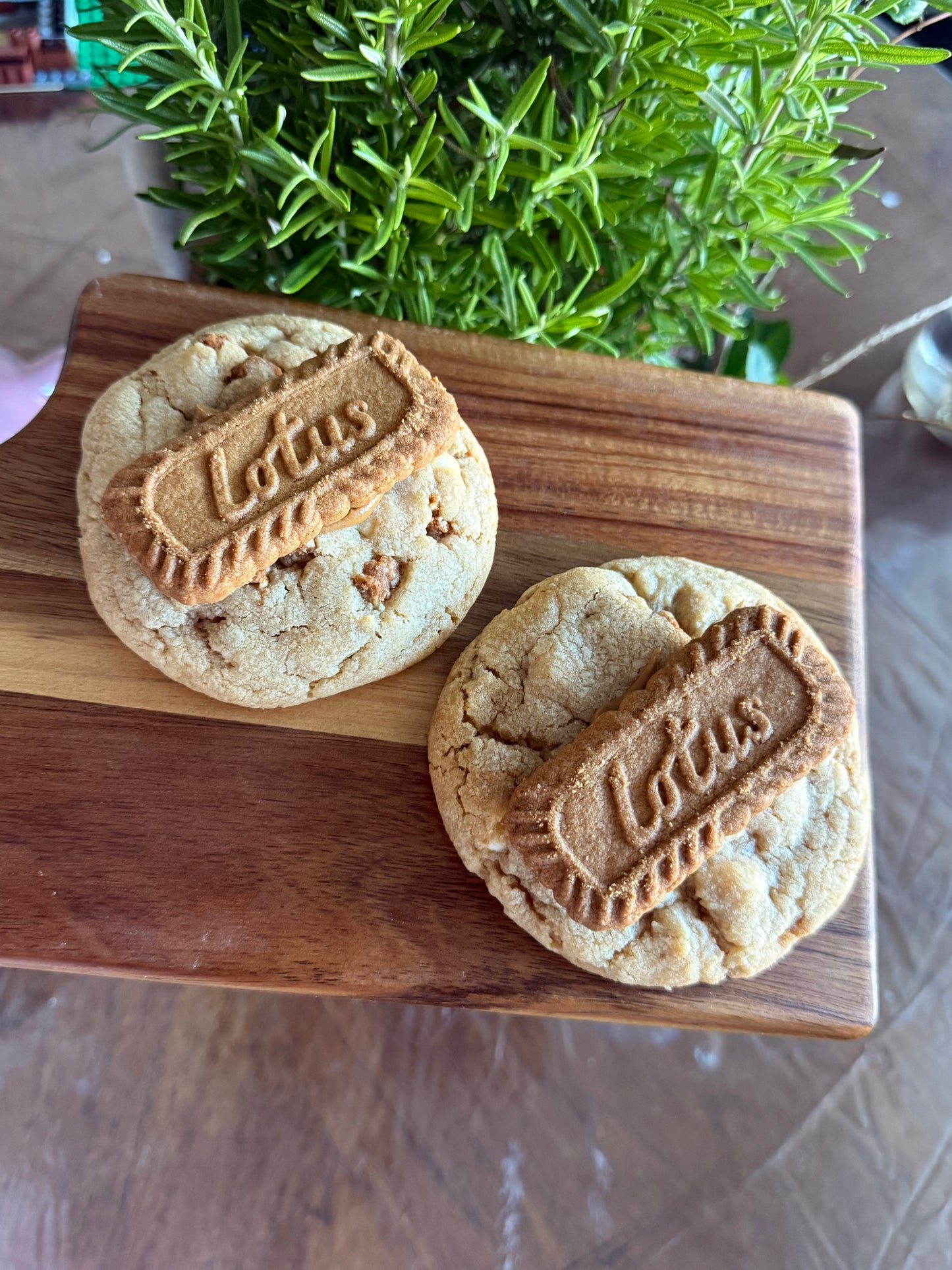 2 pack 3oz Biscoff Cookie