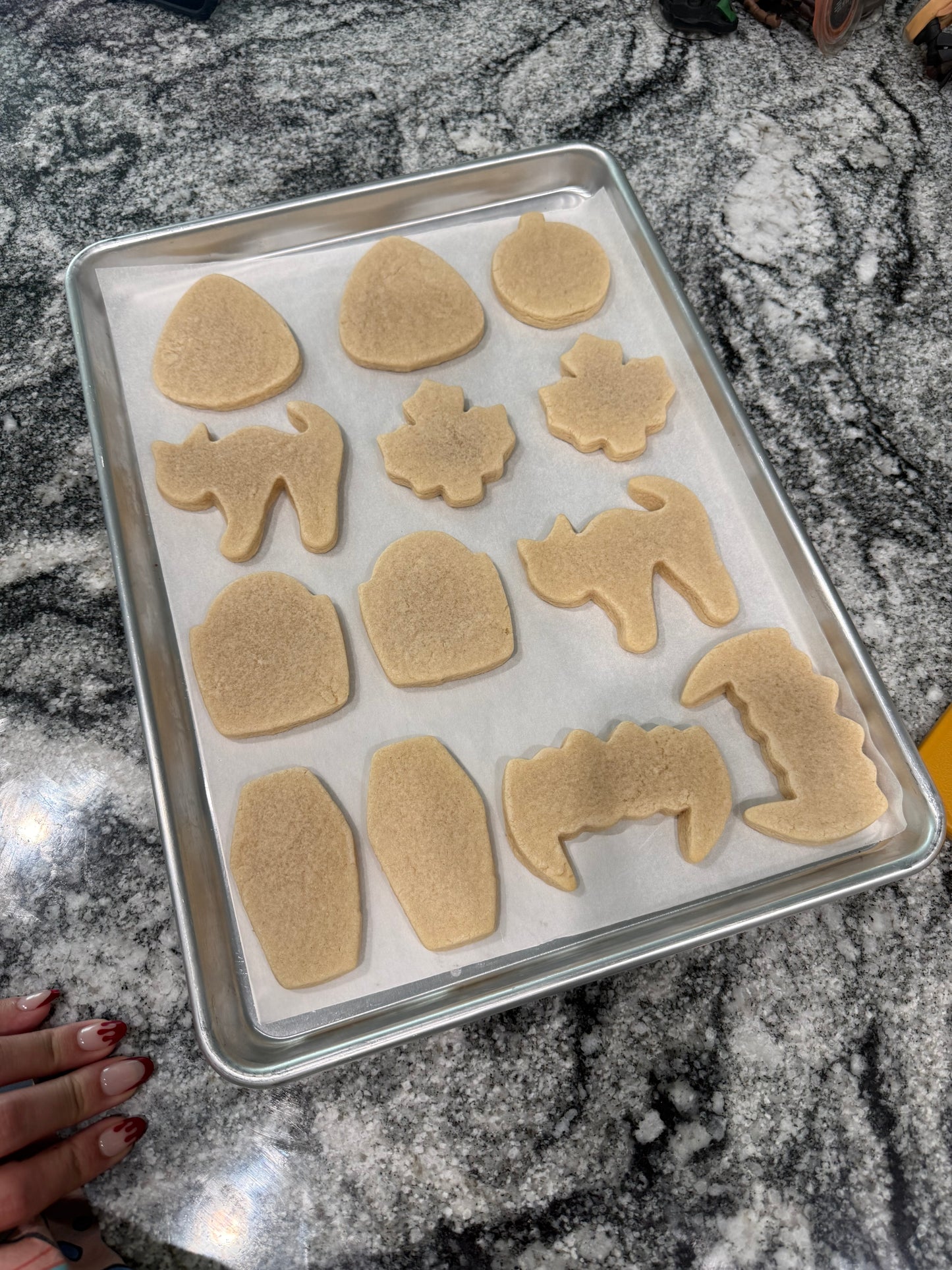 6 Count Cut Out Sugar Cookie KIT