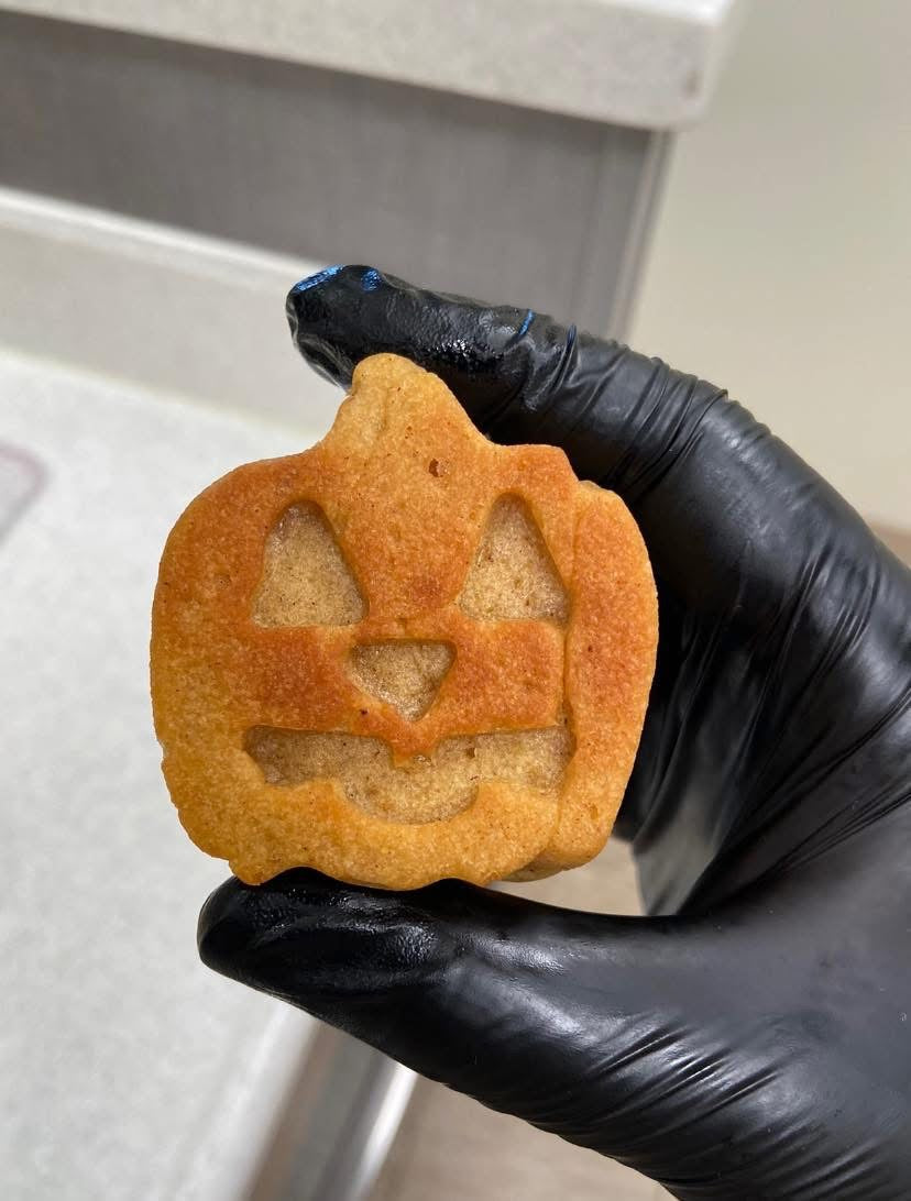 6 pack Mini pumpkin spice donuts