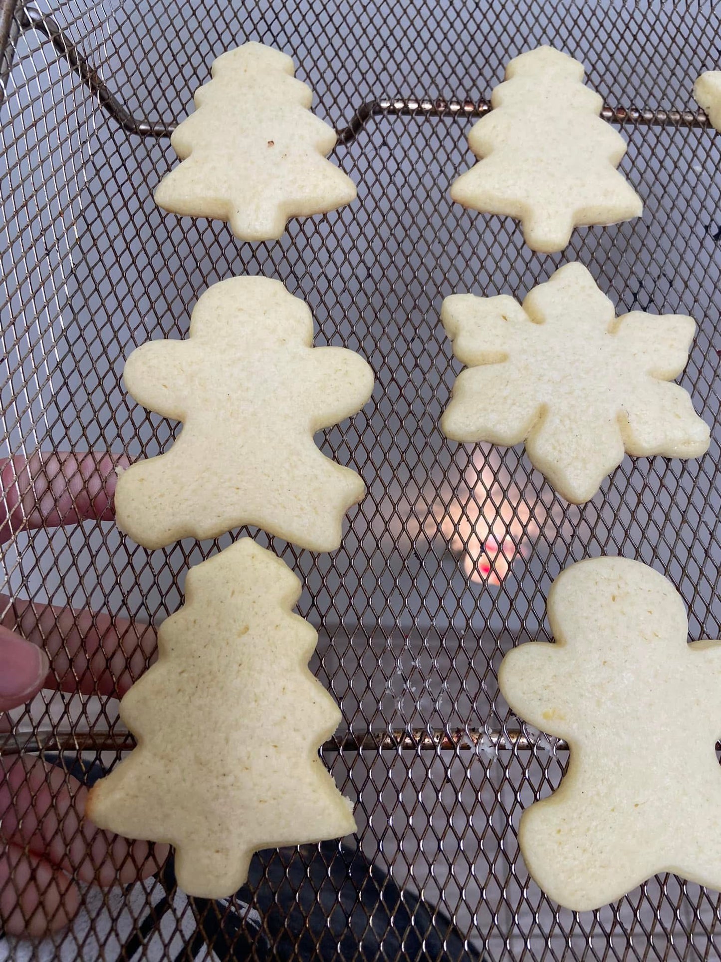 6 Count Cut Out Sugar Cookie KIT